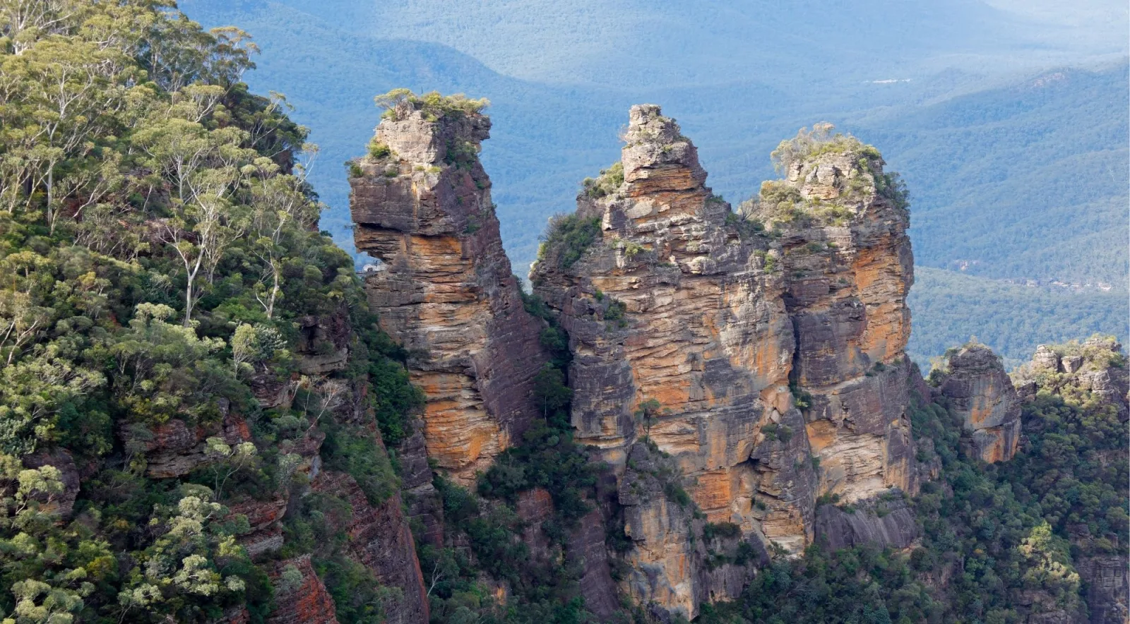 Panoramic view of Jamison Valley from the Blue Mountains escarpment, eucalyptus forest stretching to the horizon