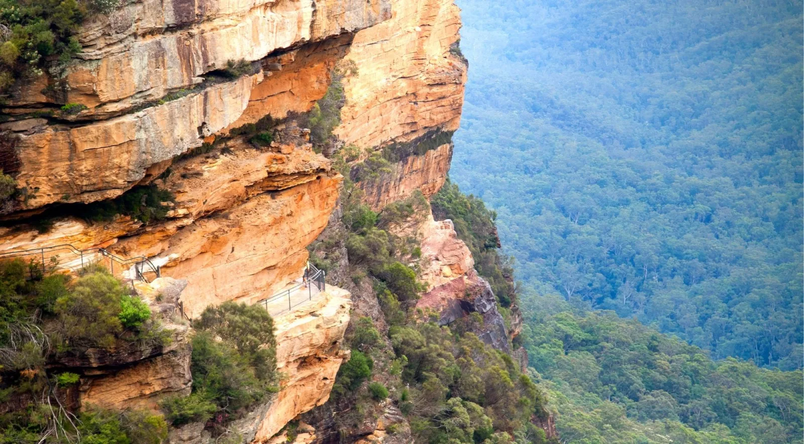 Waterfall cascading over sandstone cliffs into a pool surrounded by Blue Mountains rainforest