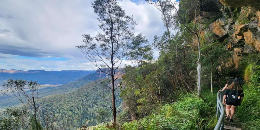 From Sydney: Blue Mountains Tour with Waterfall Walk & Lunch — photo 3
