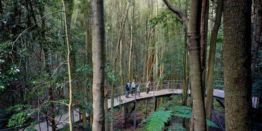 Sydney: Blue Mountains National Park Tour with River Cruise — photo 5