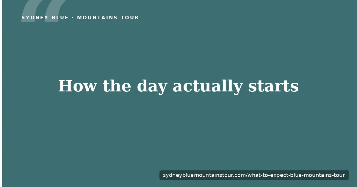 What to expect on a Blue Mountains tour — guide